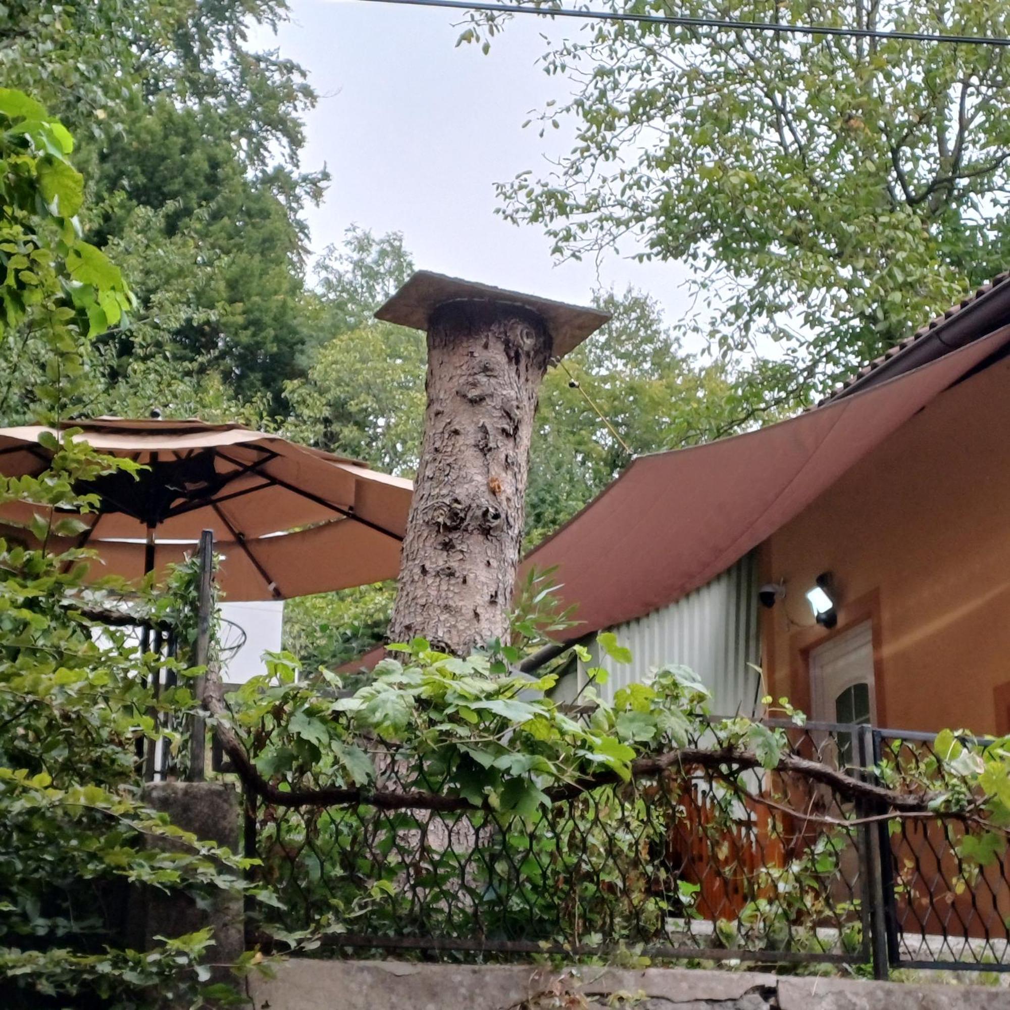 Naturparadies Marktl Bagian luar foto